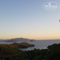 фото из отзыва ID 2101382