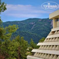 фото из отзыва ID 2101447