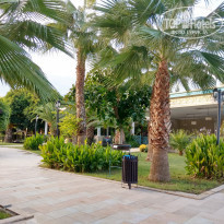 фото из отзыва ID 2101523