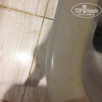 фото из отзыва ID 2101604