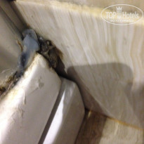 фото из отзыва ID 2101604