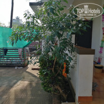 фото из отзыва ID 2101603