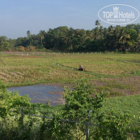 фото из отзыва ID 2101645