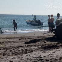 фото из отзыва ID 2101579