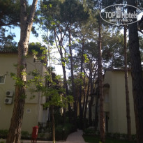 фото из отзыва ID 2101743