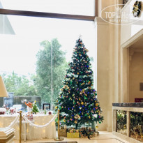 фото из отзыва ID 2101792