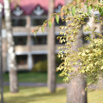 фото из отзыва ID 2101856