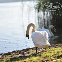 фото из отзыва ID 2101856