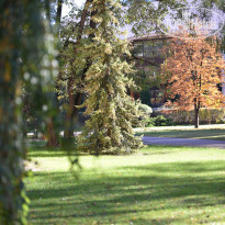 фото из отзыва ID 2101856