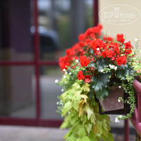 фото из отзыва ID 2101856