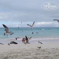 фото из отзыва ID 2101893