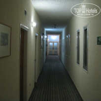 фото из отзыва ID 2101898