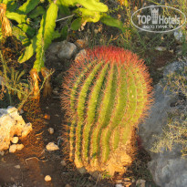 фото из отзыва ID 2101898