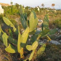 фото из отзыва ID 2101898