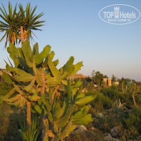 фото из отзыва ID 2101898