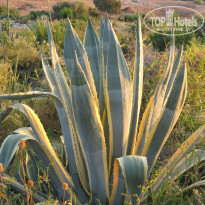 фото из отзыва ID 2101898