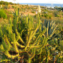 фото из отзыва ID 2101898