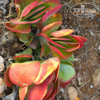 фото из отзыва ID 2101898