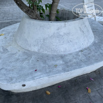 фото из отзыва ID 2101930