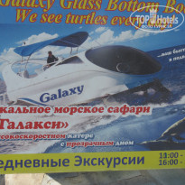 фото из отзыва ID 2101898