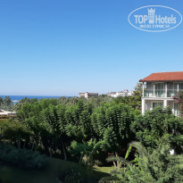 фото из отзыва ID 2102034