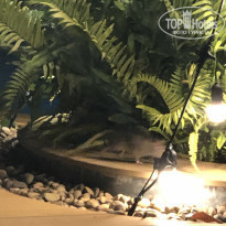 фото из отзыва ID 2102111