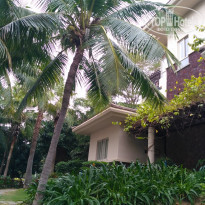 фото из отзыва ID 2102125