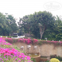 фото из отзыва ID 2102125