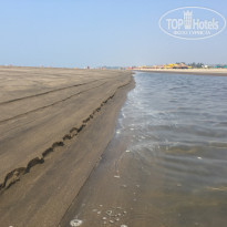 фото из отзыва ID 2102156