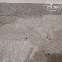 фото из отзыва ID 2102190