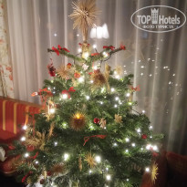 фото из отзыва ID 2102202