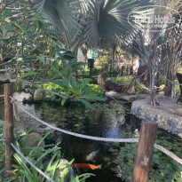 фото из отзыва ID 2102196