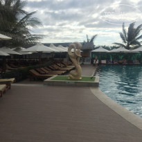 фото из отзыва ID 2102196