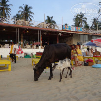 фото из отзыва ID 2102212