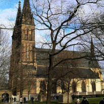 фото из отзыва ID 2101091