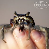 фото из отзыва ID 2102266