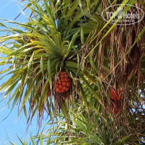 фото из отзыва ID 2102279