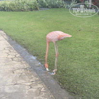 фото из отзыва ID 2102283