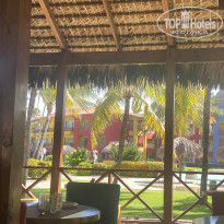 фото из отзыва ID 2102283