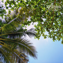 фото из отзыва ID 2102340