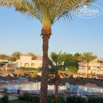 фото из отзыва ID 2102347