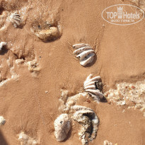 фото из отзыва ID 2102347