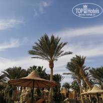 фото из отзыва ID 2101727