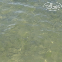 фото из отзыва ID 2102462