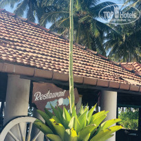 фото из отзыва ID 2102470