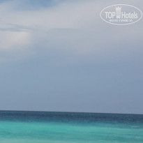 фото из отзыва ID 2102506