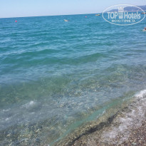 фото из отзыва ID 2102545