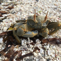 фото из отзыва ID 2102609