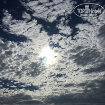 фото из отзыва ID 2102609