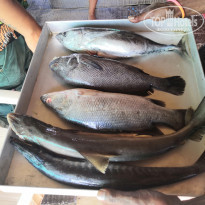 фото из отзыва ID 2102669